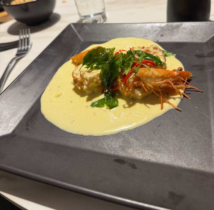 Gastro JAZ Elite Asteria