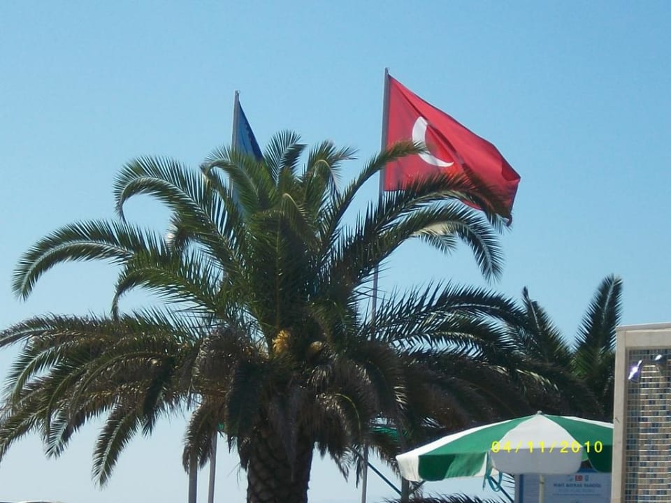 Palme und Flagge Megasaray Club Belek