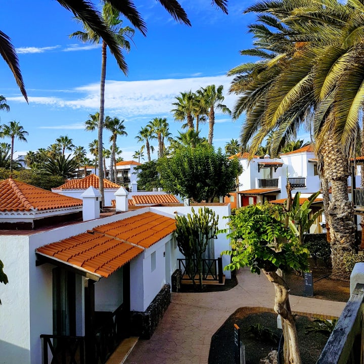 Ausblick Barceló Fuerteventura Castillo