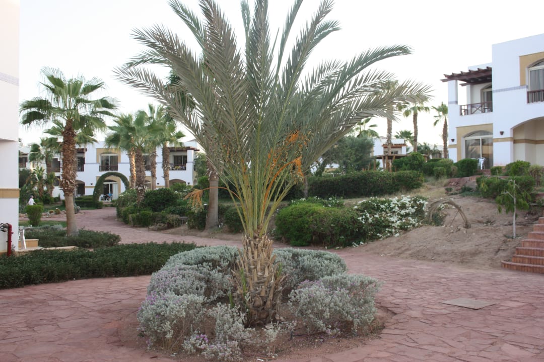 Gartenanlage Amphoras Blu