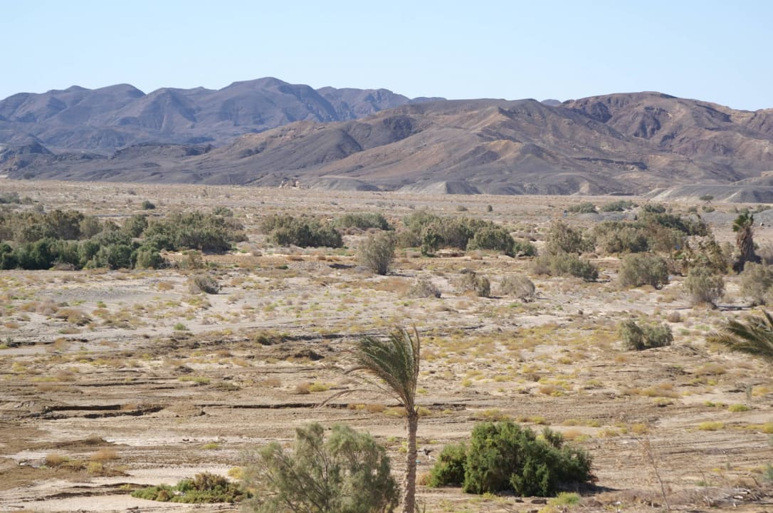 Blick vom Hotel in die Wüste Three Corners Equinox Beach Resort