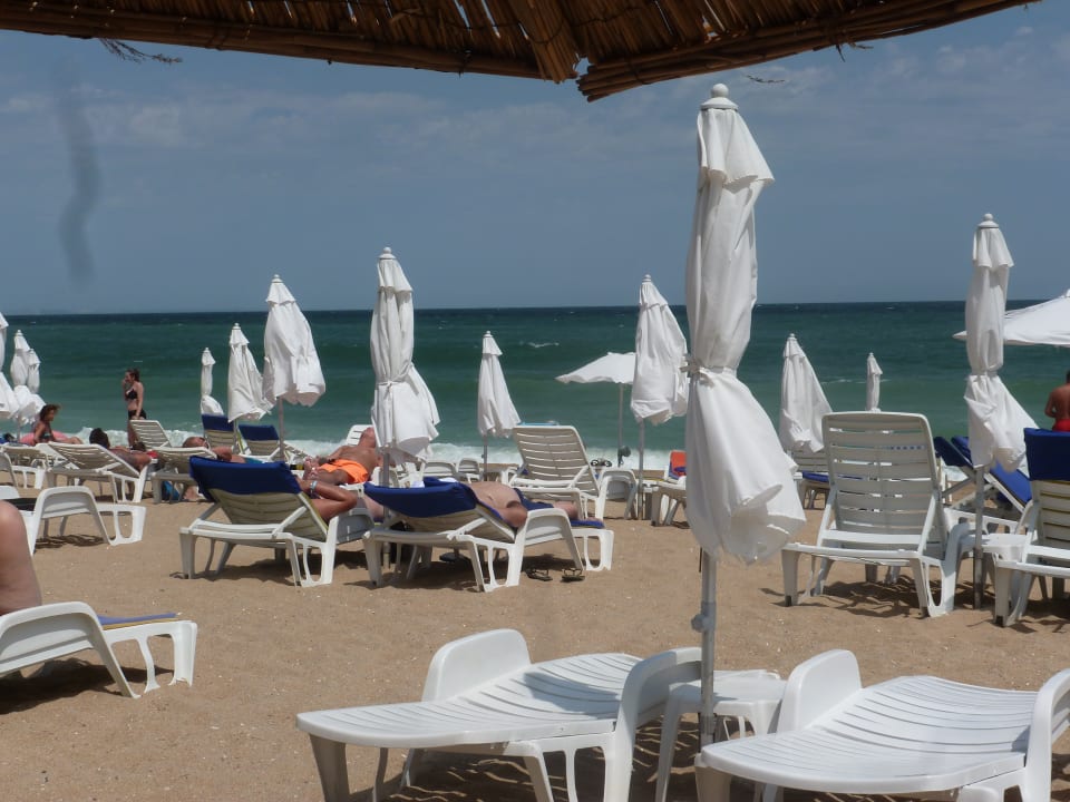 Strand Sentido Marea