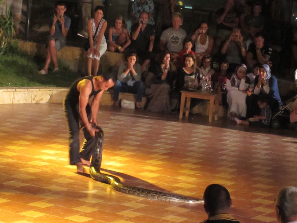 Cobrashow Pickalbatros Palace Resort