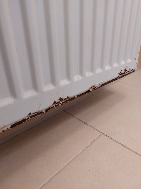 Zimmer Der schöne Asten - Resort Winterberg