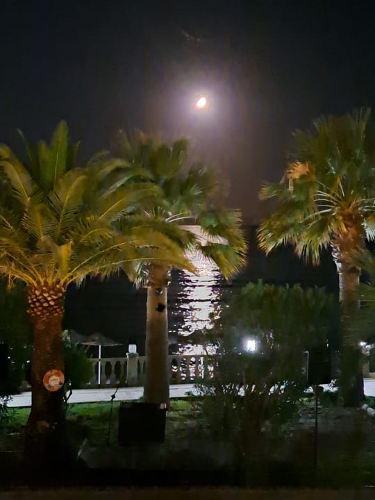 Ausblick Tusan Beach Resort