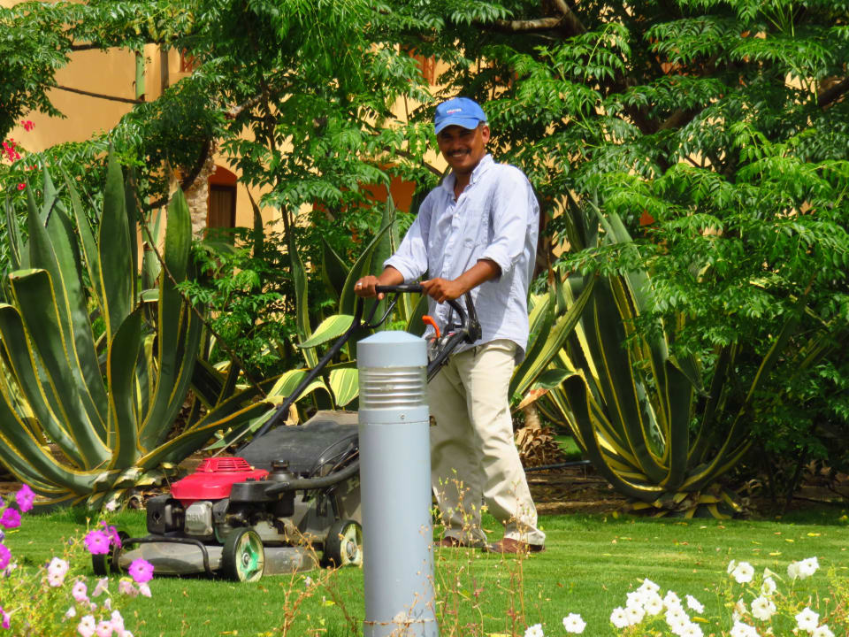 Ein großes Kompliment an alle Gärtner Steigenberger Coraya Beach - Adults only