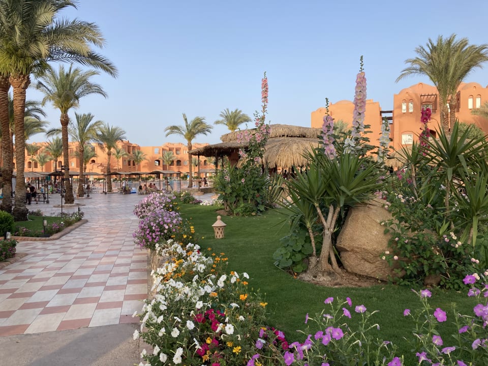 Gartenanlage Jaz Makadi Oasis Resort