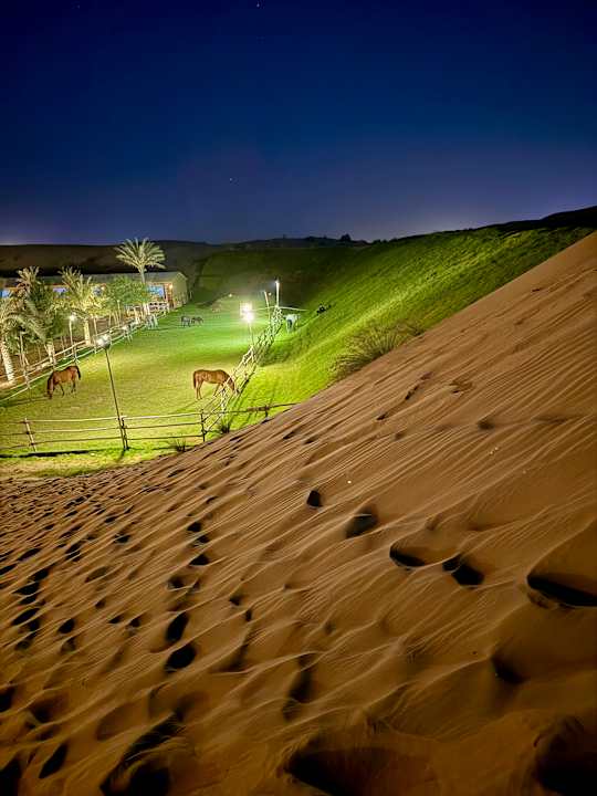 Sport & Freizeit Waldorf Astoria Dubai Palm Jumeirah