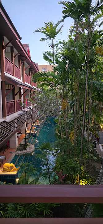 Gartenanlage Kata Palm Resort & Spa
