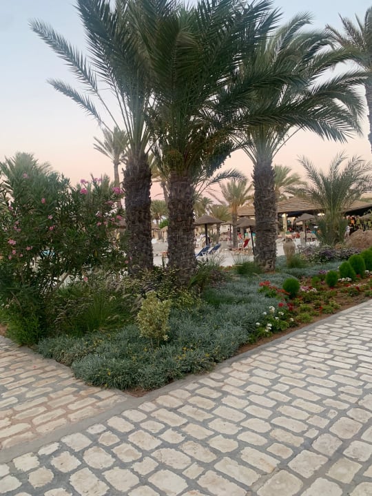 Außenansicht Zita Beach Resort