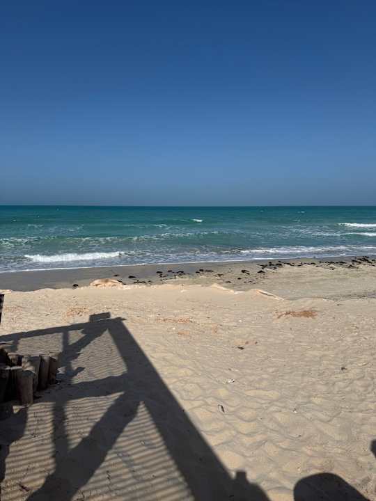 Strand Radisson Blu Palace Resort & Thalasso Djerba