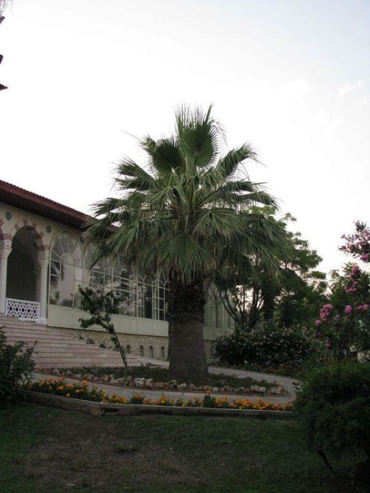 Hotelanlage Ali Bey Club