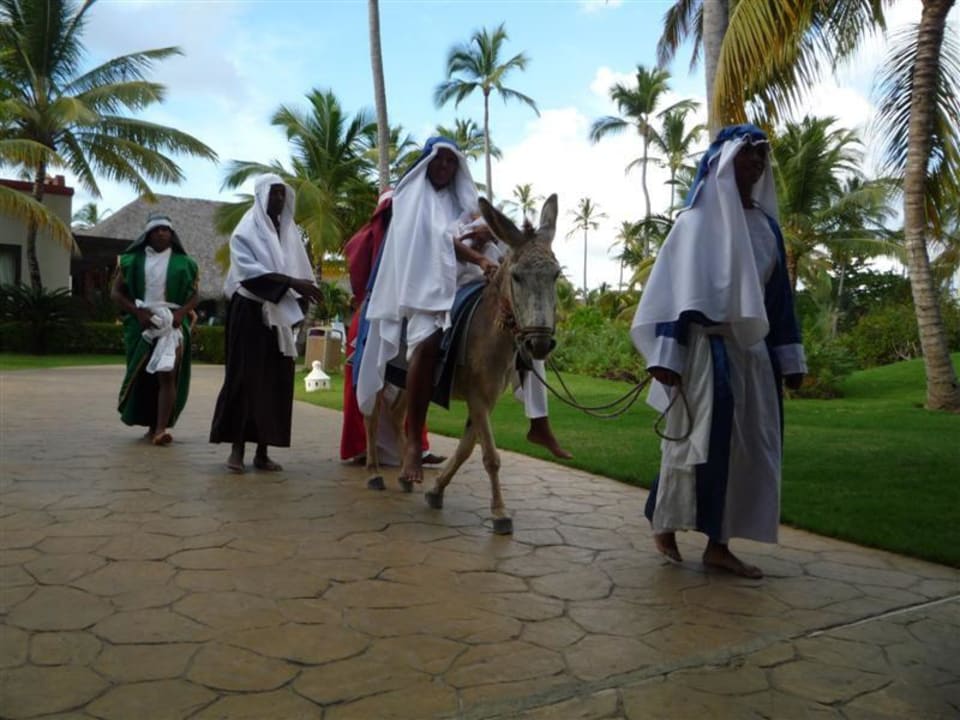 24.12.2010 Punta Cana Princess All Suites Resort & Spa