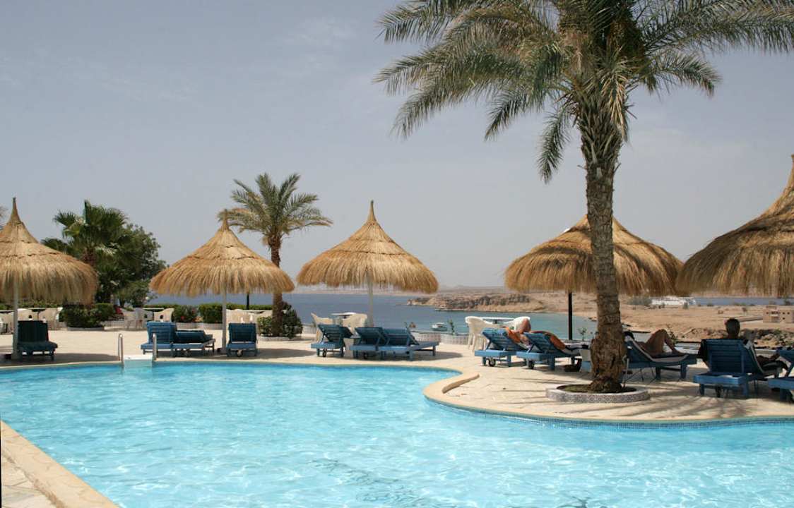Pool mit Ausblick Albatros Sharm Resort