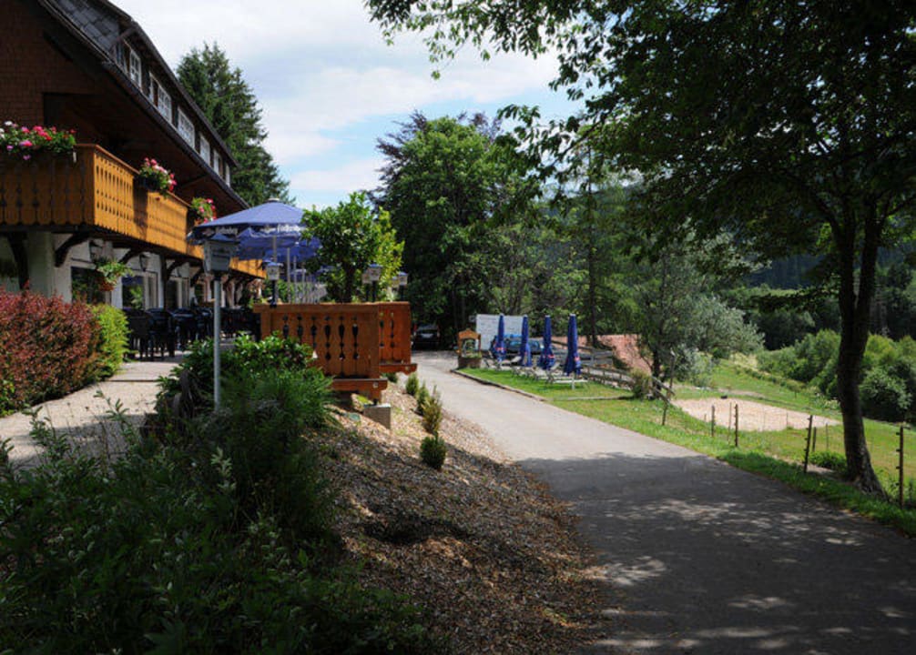 Blick in die Schwarzwaldlandschaft Heizmannshof Hotel & Restaurant