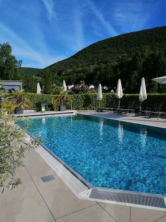 Pool Wiedemann's Weinhotel