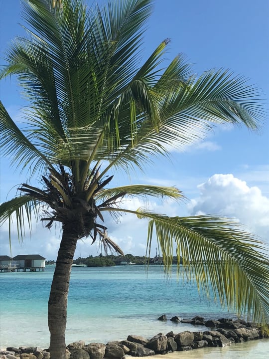 Strand Cinnamon Dhonveli Maldives