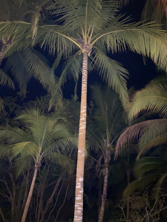 Ausblick Akumal Bay Beach & Wellness Resort