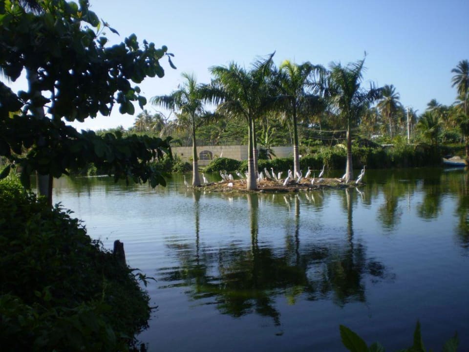 Teich in der Hotelanlage Villas Bavaro Resort & Spa