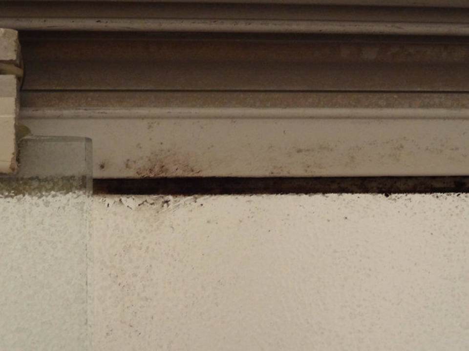 Schimmel Hotel Goldener Hirsch