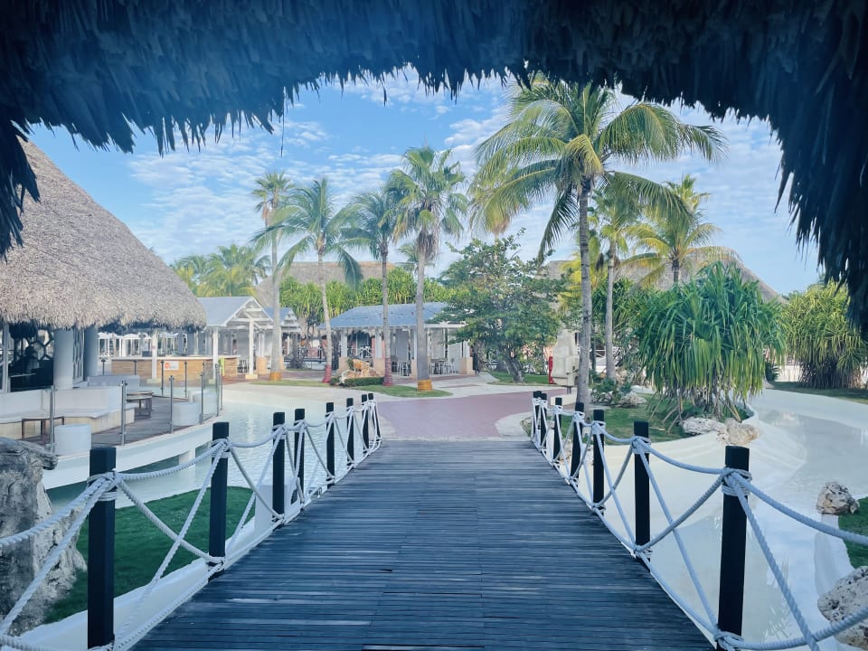 Gartenanlage Royalton Hicacos Resort & Spa - Adults only