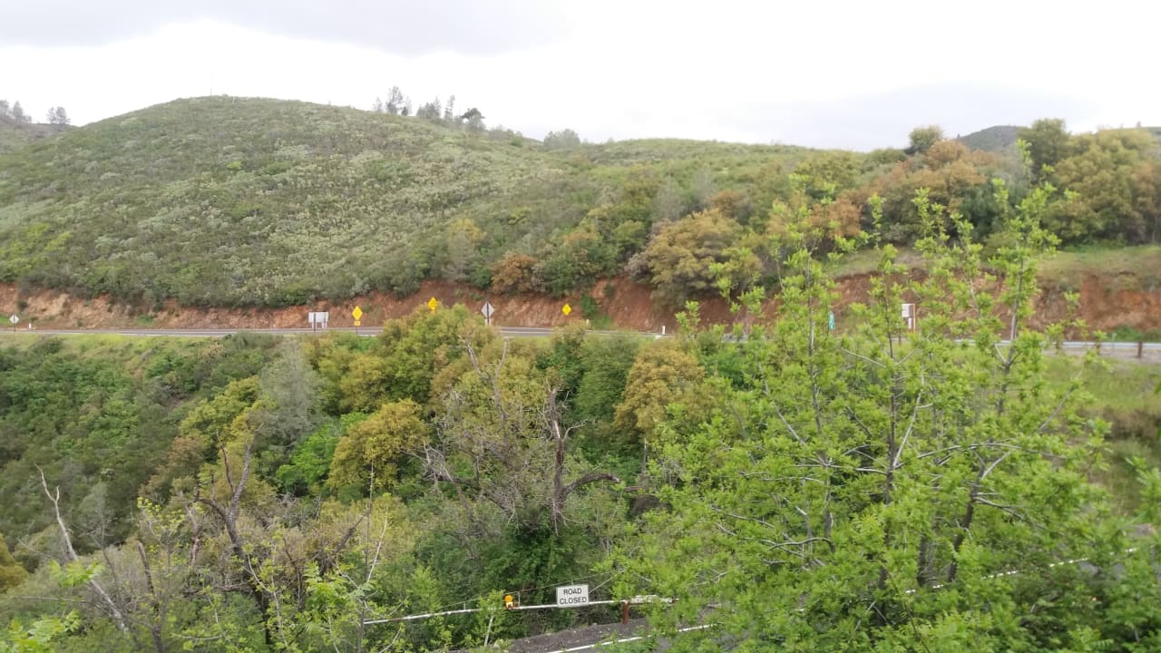Ausblick Priest Station Cafe & Cabins