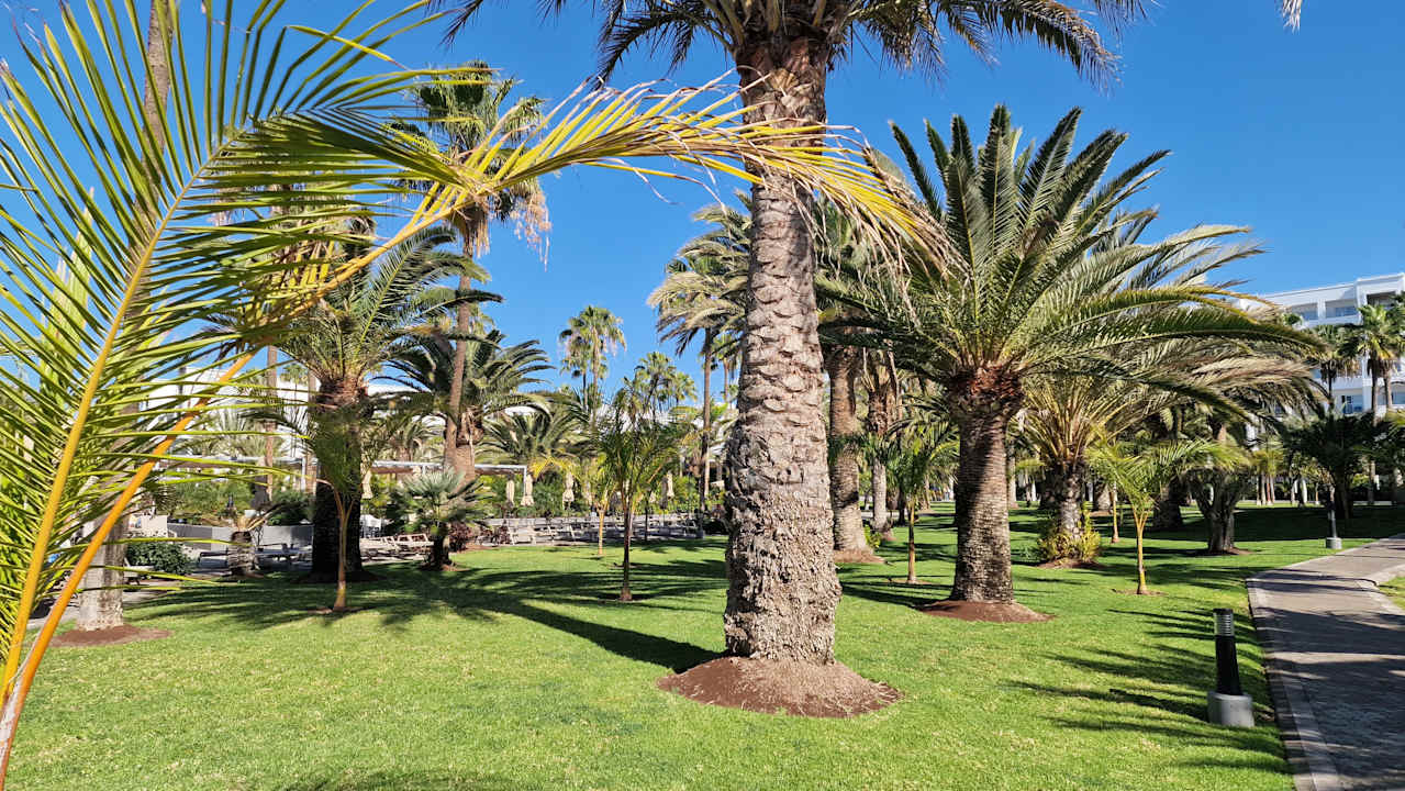Gartenanlage Hotel Riu Gran Canaria