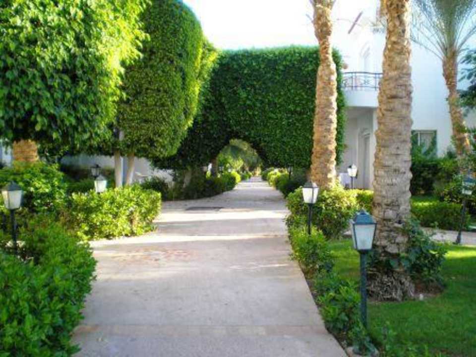 Garten JAZ Fanara Resort