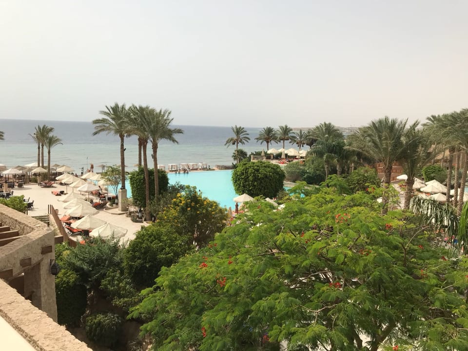 Gartenanlage Makadi Spa - Adults only