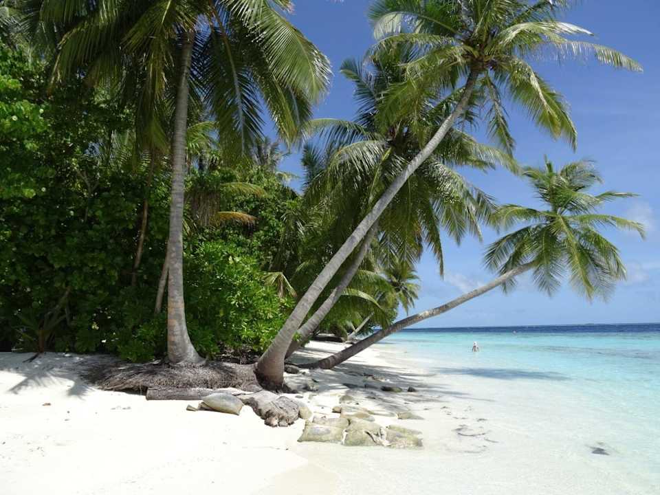 Außenansicht Vilamendhoo Island Resort & Spa