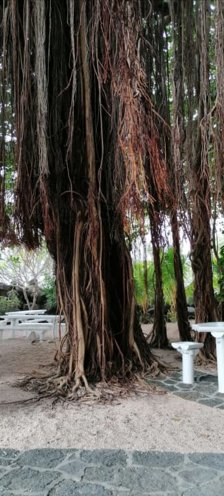 Strand LUX* Grand Gaube Resort & Villas