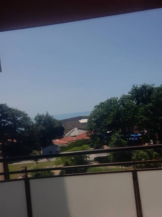 Zimmer Hotel Gladiola Star