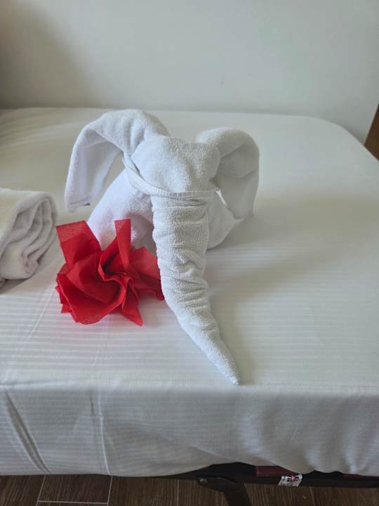 Zimmer Hotel Riu Bravo