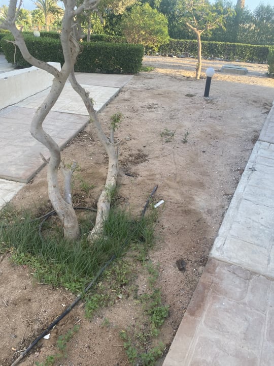 Gartenanlage Hurghada Long Beach Resort