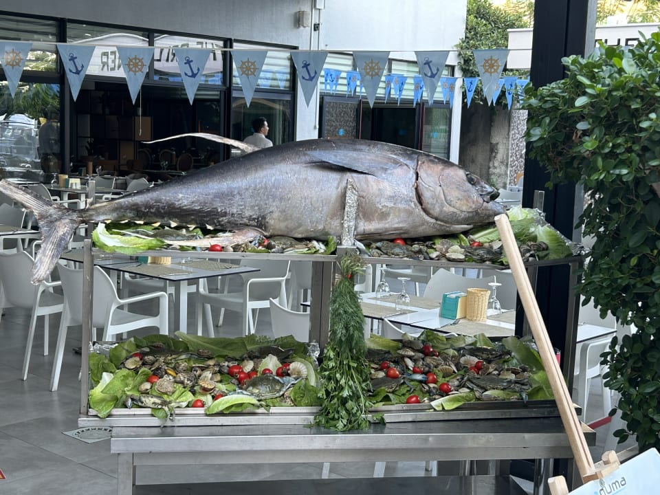 Gastro Numa Bay Exclusive Hotel