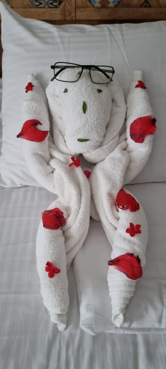 Zimmer Lazuli Hotel Marsa Alam