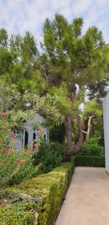 Gartenanlage Hotel Club Nena