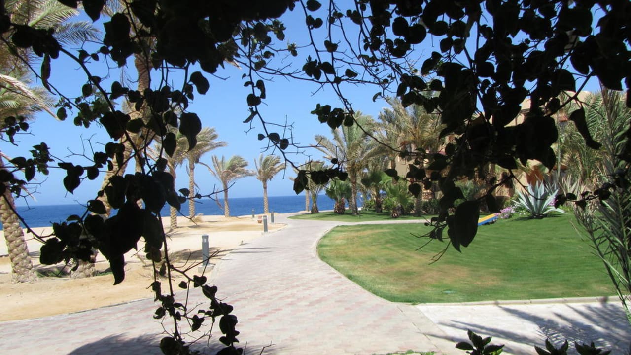 Zimmerausblick Steigenberger Coraya Beach - Adults only