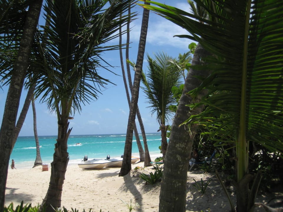 Aussicht von der Liege Grand Palladium Select Bávaro Resort & Spa