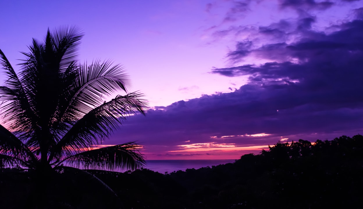 Aussicht auf den Pazifik Finca Bavaria