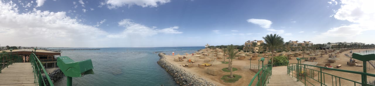 Ausblick Desert Rose
