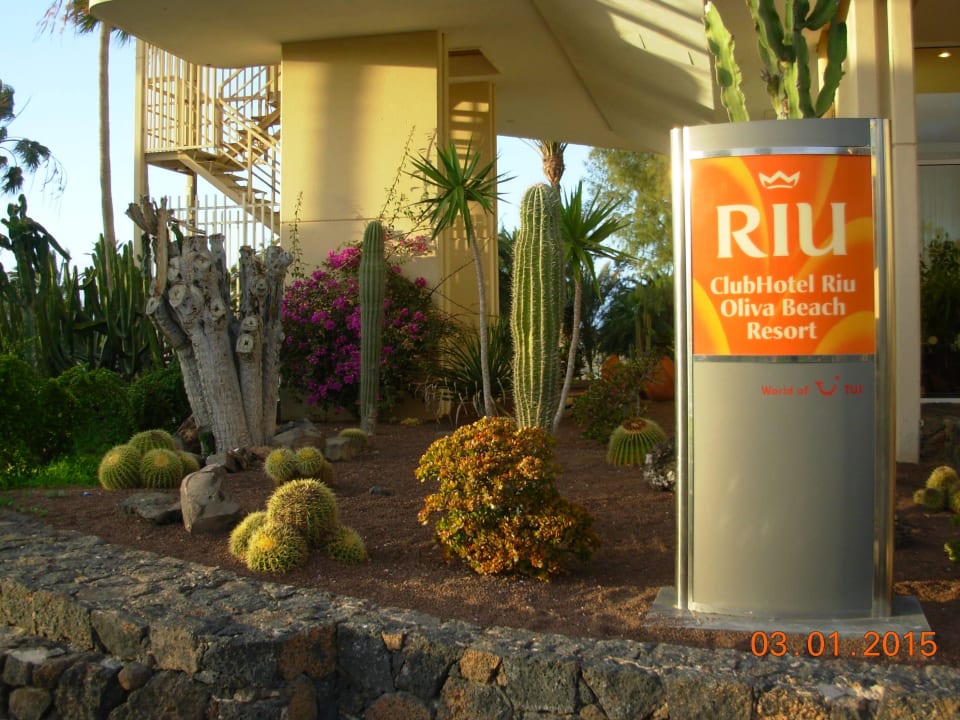 Gut gestalteter Eingangsbereich Hotel Riu Oliva Beach - Hotel