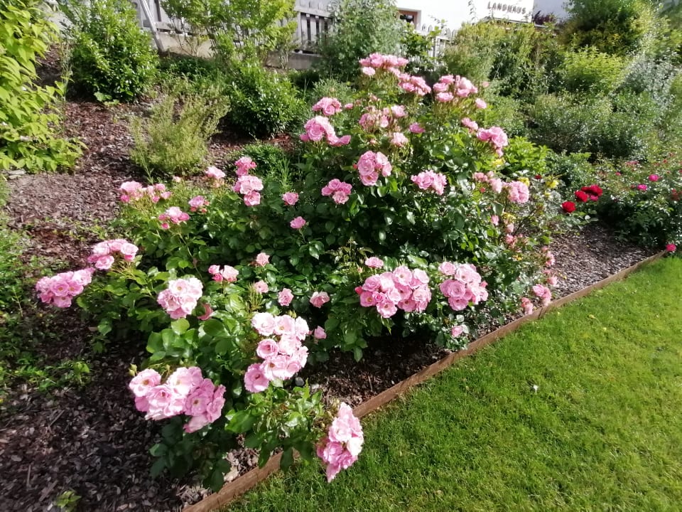 Gartenanlage Natur Resort Rissbacher