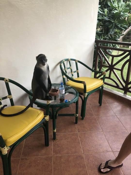 Zimmer Neptune Paradise Beach Resort & Spa