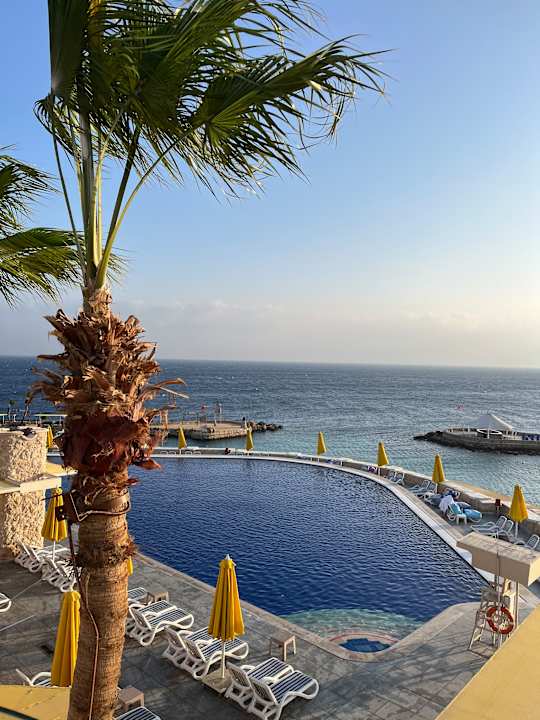 Pool Pickalbatros Citadel Resort