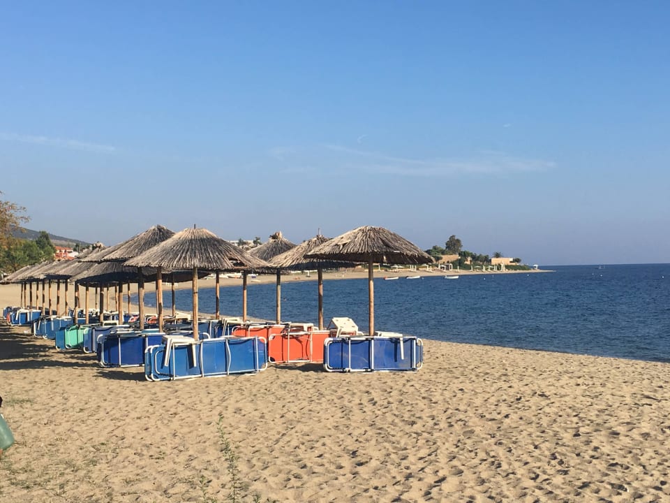 Liegen und Schirme vom Hotel Hotel Possidona Beach