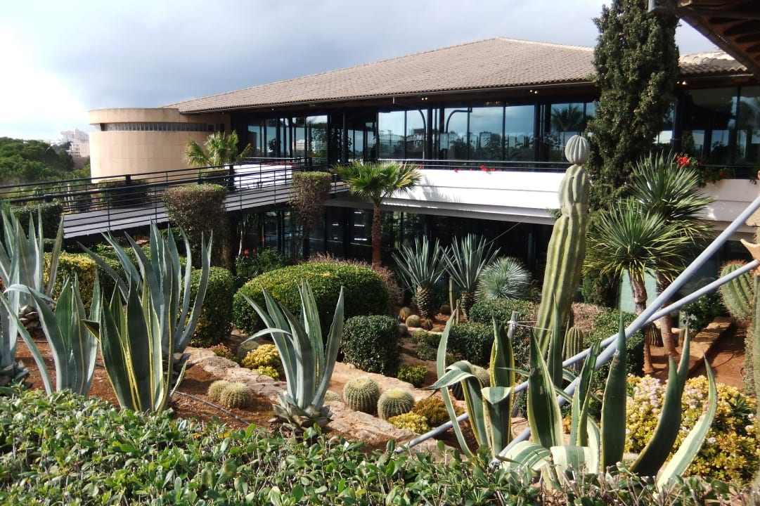 Aufgang zu den Restaurants und zur Bar Blau Colònia Sant Jordi