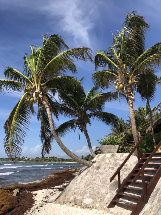 Strand Akumal Bay Beach & Wellness Resort