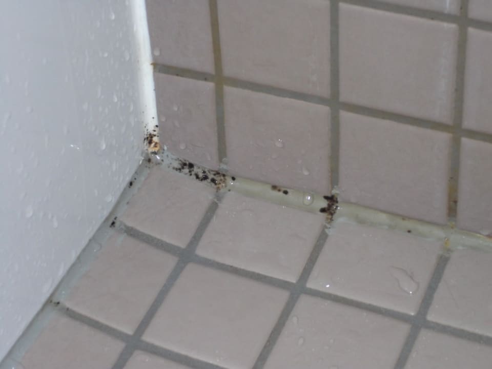Schimmel in der Dusche Mövenpick Hotel Amsterdam City Centre