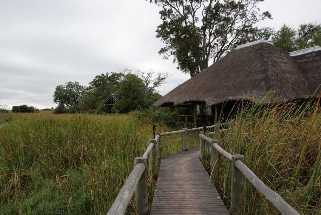 Mainarea und Luxuszelt Hotel Kwando Lebala Camp